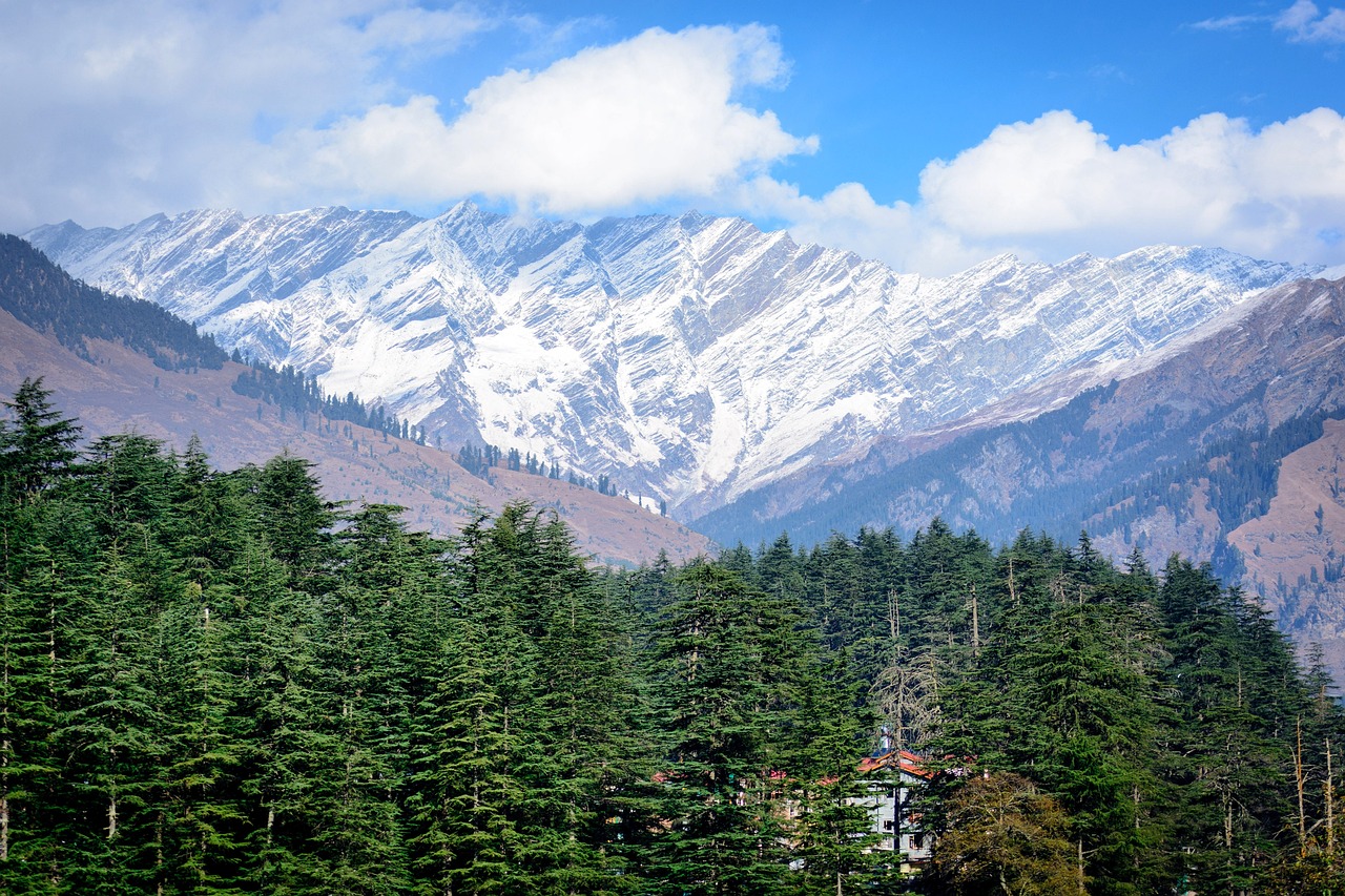 manali, himalayas, quiet, backdrop, landscape, mountains, travel, trek, scenic, early morning, chill, cool, trees, nature, mountain, peak, mountain range, mountain top, outdoor, scenery, snow, sky, rock, top, blue morning, manali, manali, manali, manali, himalayas, himalayas, himalayas, himalayas, himalayas, chill
