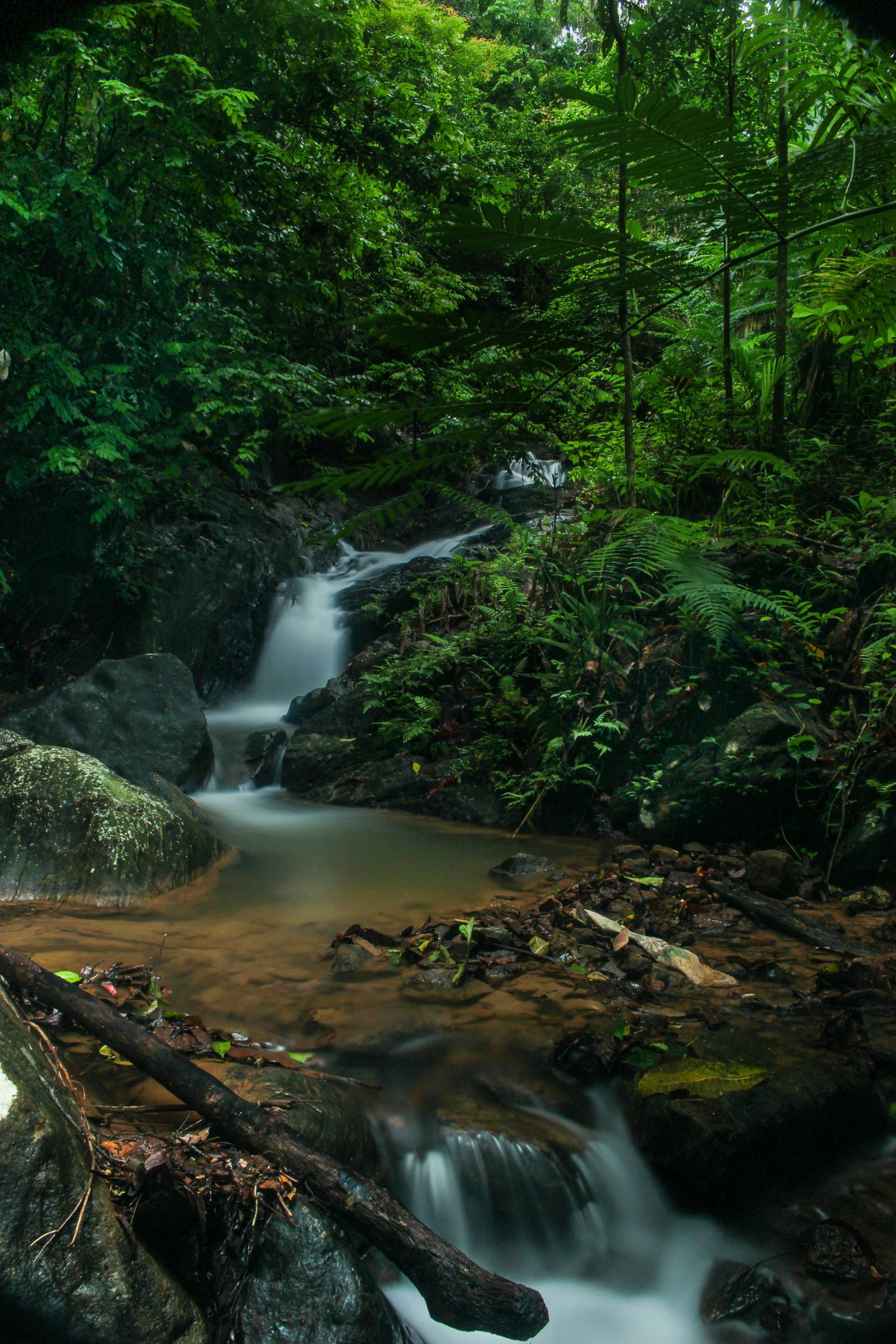 Serene waterfall cascading through lush forest in Sri Lanka, capturing nature's beauty.