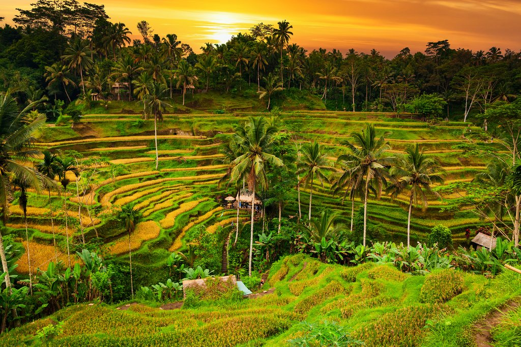 Bali Package